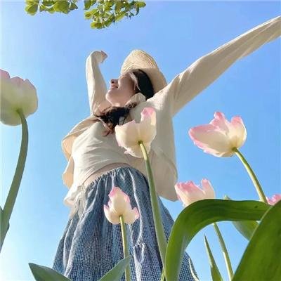 诺娃队长